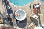 Lay-Z Spa Hollywood Airjet inflatable spa – sleeps 6 - Image 15