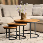 Britt Coffee Table | Set of 3 | Mango Wood | NEW