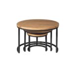 Britt Coffee Table | Set of 3 | Mango Wood | NEW - Image 6