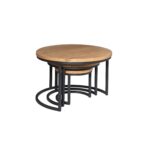 Britt Coffee Table | Set of 3 | Mango Wood | NEW - Image 5